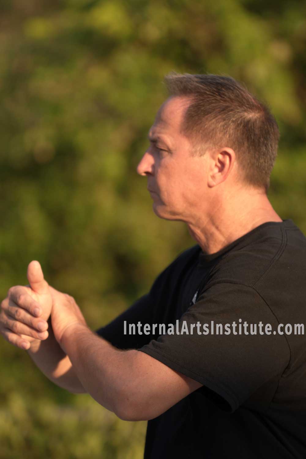 Tai Chi Yang Style Long Solo Form by Dimitri Mougdis Internal Arts Institute